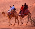 Dubai Desert Safari camel ride