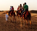 Dubai Desert Safari private camel ride