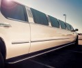 Half Day Limousine Tour in a silver luxury vehicle