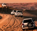 Best Desert Safari Tours in the morning red dunes