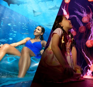 Theme Parks, Water Parks Combo Deals a girl at Aquaventure and a woman at Lost Chambers Aquarium