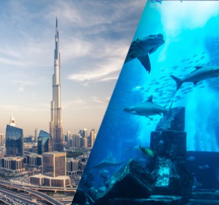 Dubai Sightseeing City Tour Burj Khalifa and Aquarium view 