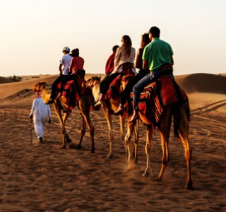 Dubai Desert Safari private camel ride