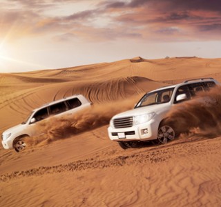 Best Desert Safari Tours 4*4 dune bashing