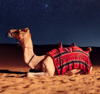 Best Desert Safari Tours overnight deluxe with dunes under moon