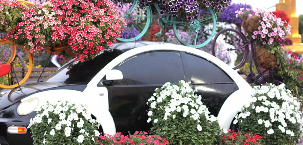 Theme Parks Dubai Miracle Garden