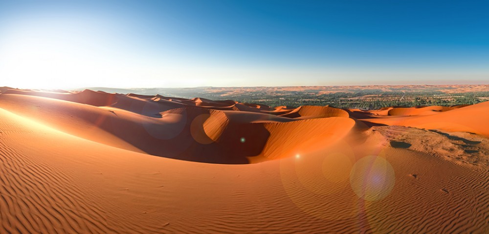 Liwa Desert Safari Tours black 4*4 vehicle dune bashing