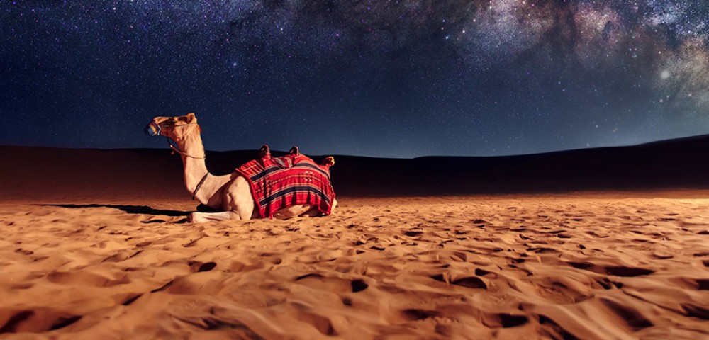 Best Desert Safari Tours overnight deluxe with dunes under moon