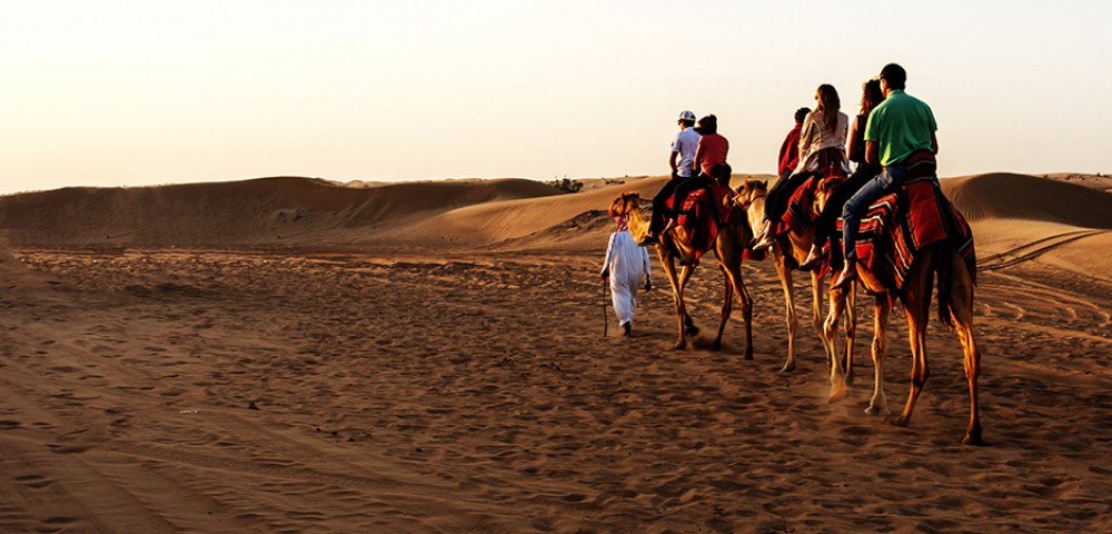 Fossil and Camel Rock Safari with Sand Boarding