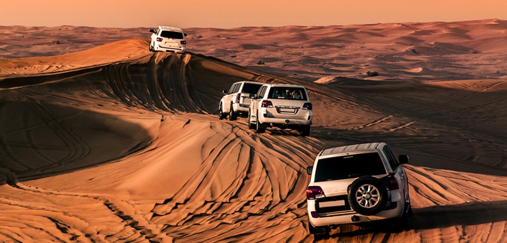 Best Desert Safari Tours in the morning red dunes