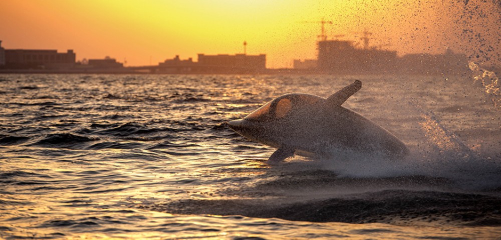 Thrilling Activities Tour Dubai Seabreacher