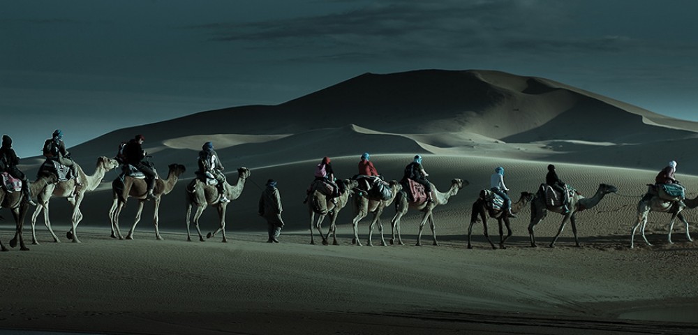 Abu Dhabi Desert Safari Tours camel riding at night