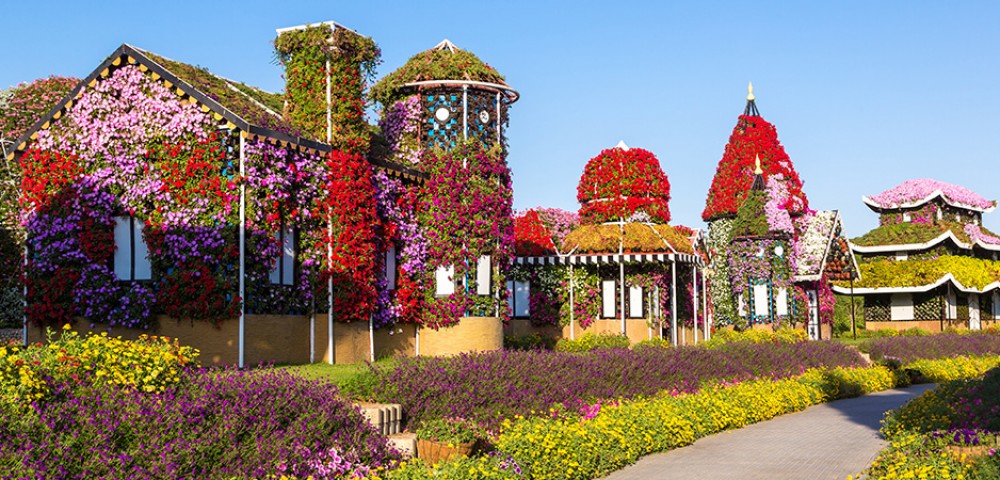 Theme Parks Dubai Miracle Garden