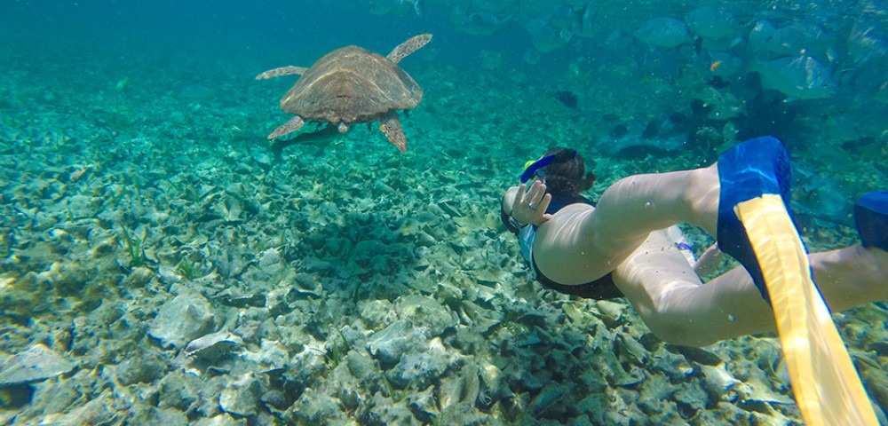 People learning PADI Basic Scuba Diving Course  Dubai