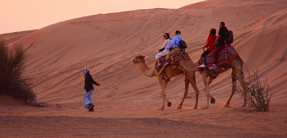 Dubai Desert Safari camel ride