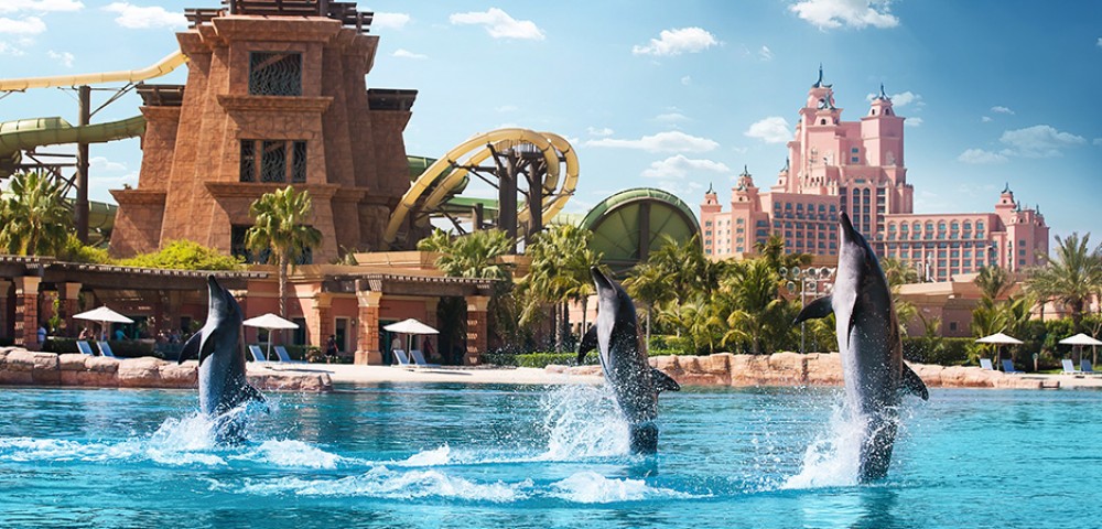 Group of people at Dubai Dolphin Encounter at Atlantis