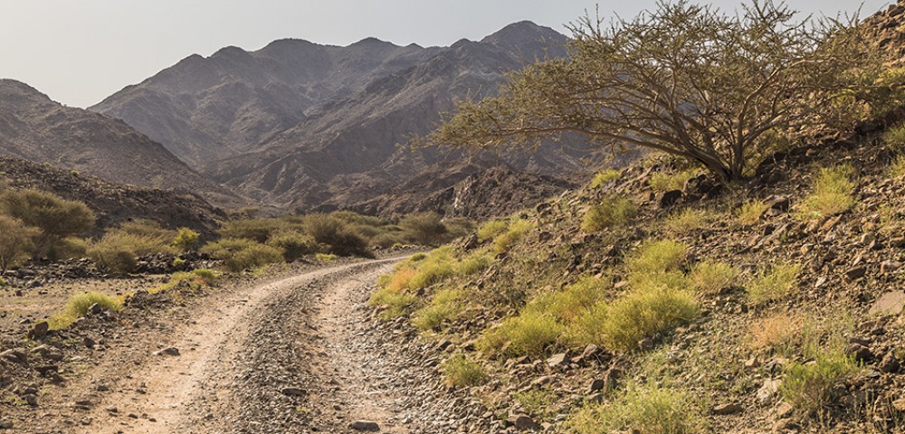 Safari Tours Hatta 4*4 vehicle around Mountains 