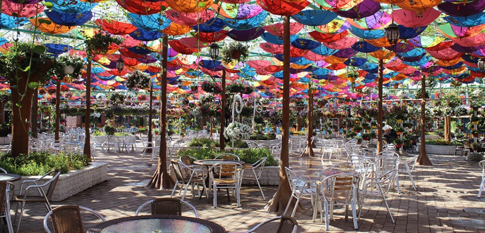 Dubai Sightseeing City Tour and Miracle garden with rainbow painted windmill