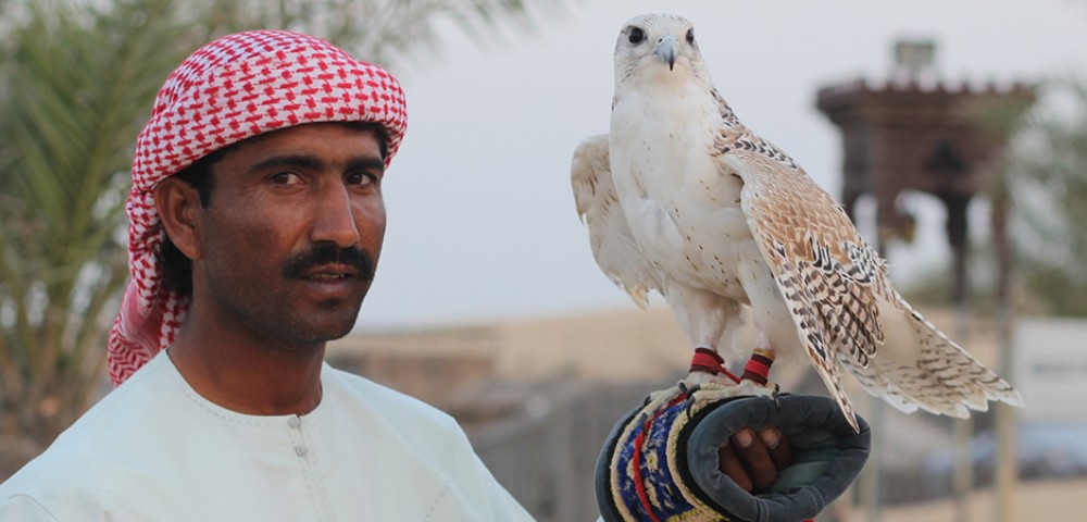 Abu Dhabi Desert Safari Tours and falcon tour