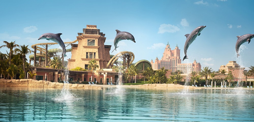 Group of people at Dubai Dolphin Encounter at Atlantis