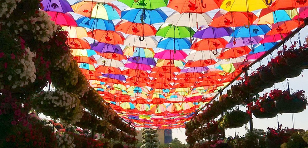 Theme Parks Dubai Miracle Garden