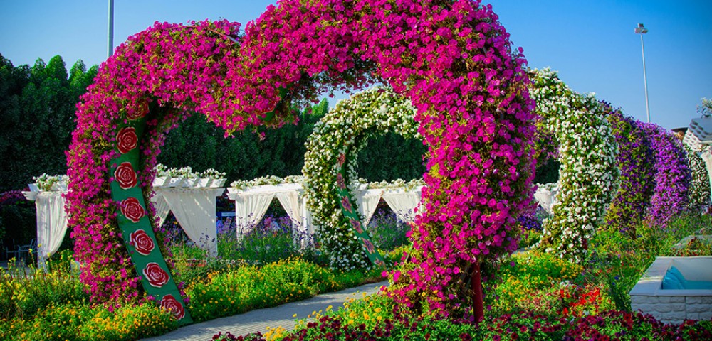 Dubai Sightseeing City Tour and Miracle garden with rainbow painted windmill