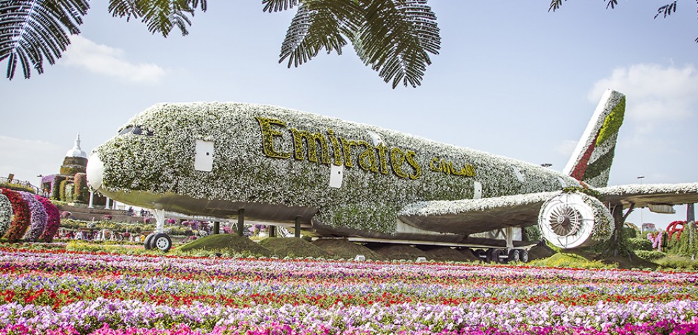 Theme Parks Dubai Miracle Garden