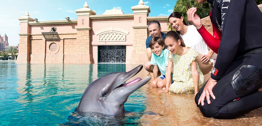 Group of people at Dubai Dolphin Encounter at Atlantis