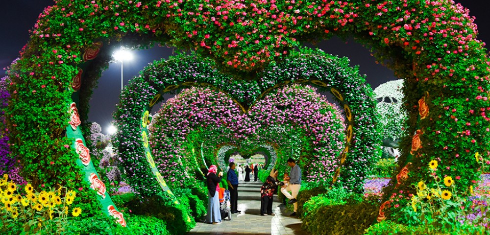 Theme Parks Dubai Miracle Garden