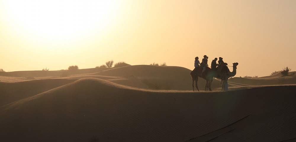 Dubai Desert Safari camel ride