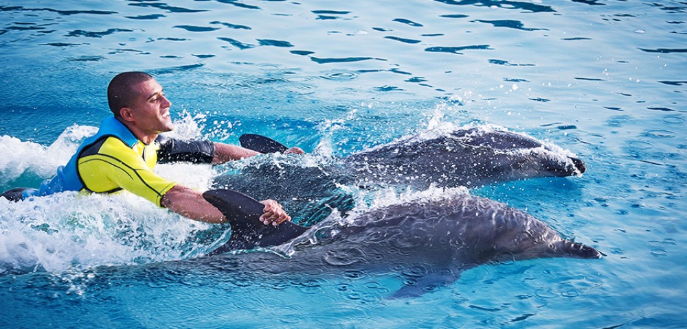 Group of people at Dubai Dolphin Encounter at Atlantis