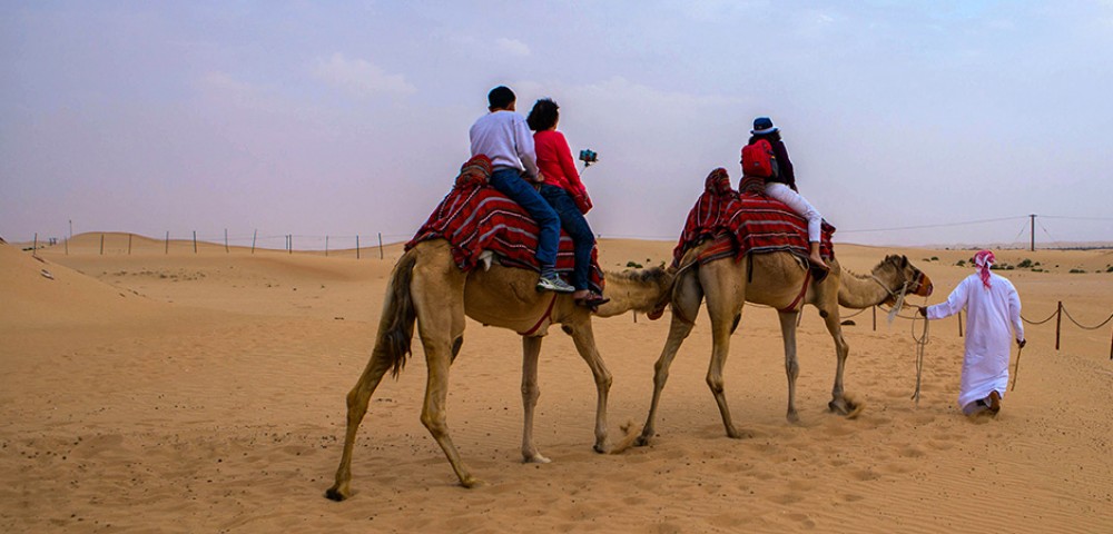 Abu Dhabi Desert Safari Tours and falcon tour