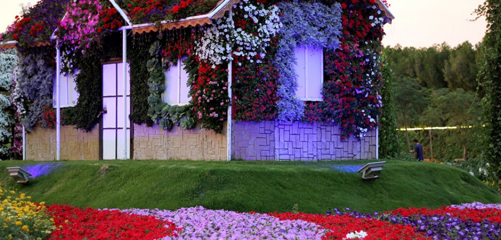 Theme Parks Dubai Miracle Garden