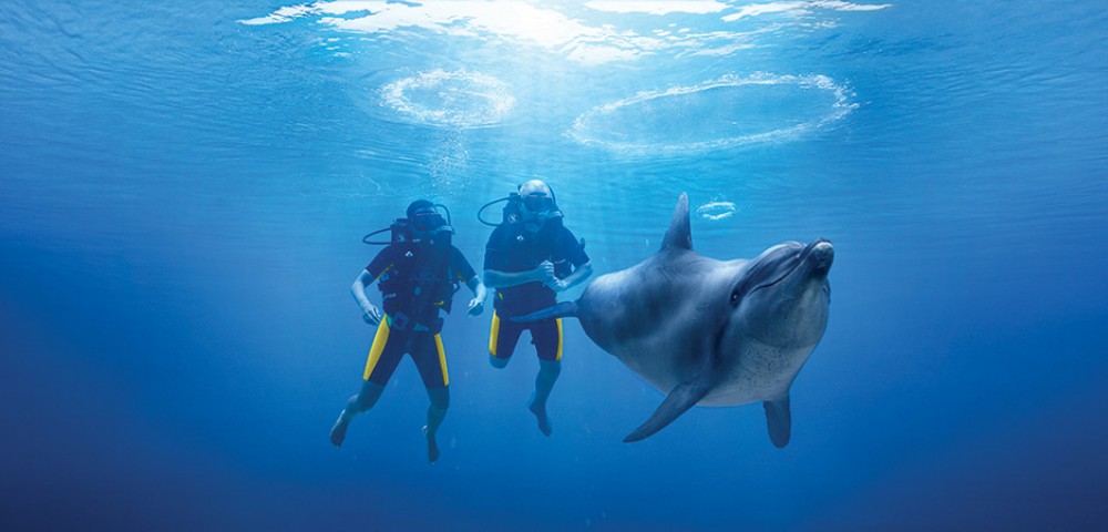 Group of people at Dubai Dolphin Encounter at Atlantis