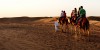 Dubai Desert Safari private camel ride