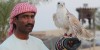 Abu Dhabi Desert Safari Tours and falcon tour