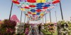 Theme Parks Dubai Miracle Garden