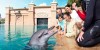 Group of people at Dubai Dolphin Encounter at Atlantis