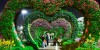 Theme Parks Dubai Miracle Garden