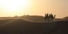 Dubai Desert Safari camel ride