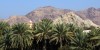 Best Hatta Wadi Trip Mountain View