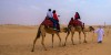 Abu Dhabi Desert Safari Tours and falcon tour