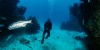 Man enjoying Snorkeling Tour Dubai