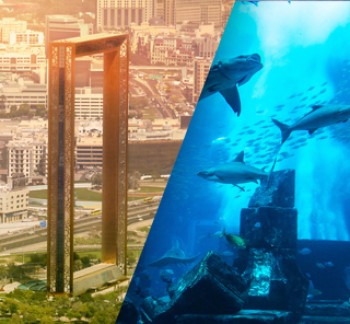 Dubai Sightseeing City Tour, Dubai Frame and Aquarium with sharks