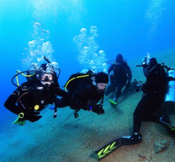 Group learning Dubai PADI Advanced Open Water Course underwater