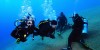 Group learning Dubai PADI Advanced Open Water Course underwater