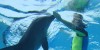 Theme Parks Dubai Dolphinarium