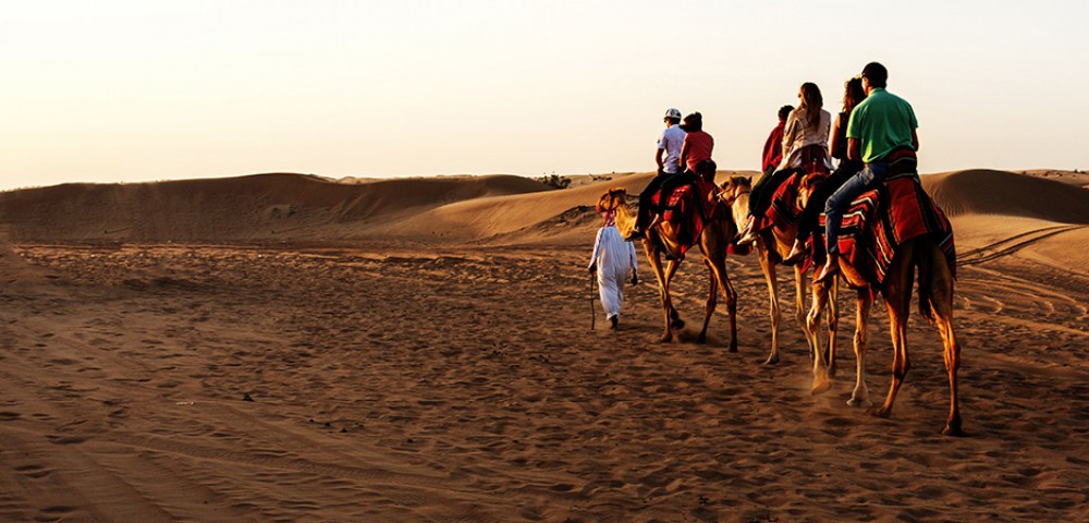 Dubai Desert Safari private camel ride