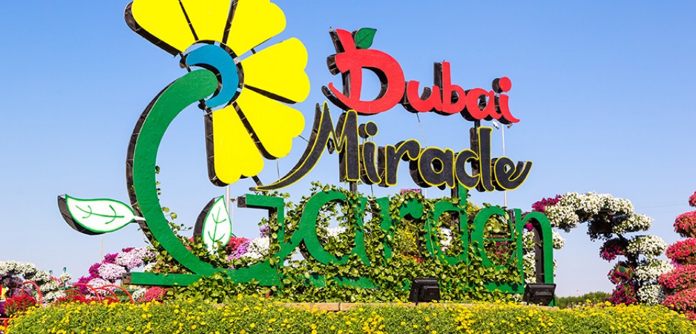 Dubai Sightseeing City Tour and Miracle garden with rainbow painted windmill