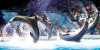 Theme Parks Dubai Dolphinarium